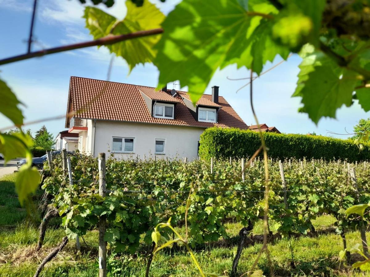 Ferienwohnung Am Schoosberg, Niederkirchen Bei Deidesheim 外观 照片